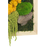 Tableau végétal stabilisé Songe d'Automne