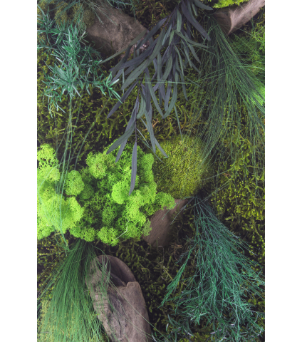 Tableau végétal Barfleur