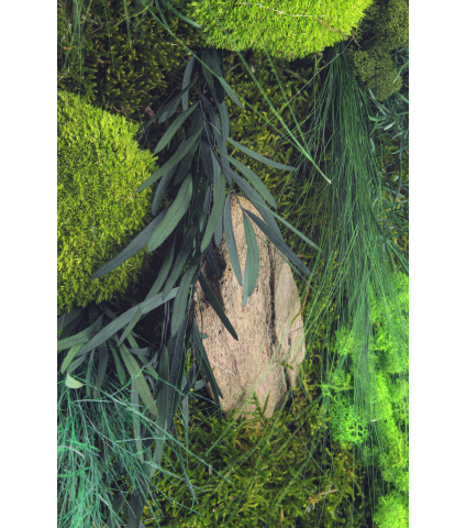 Tableau végétal Barfleur