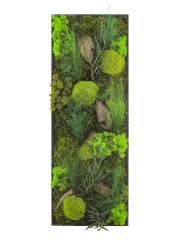 Tableau végétal Barfleur