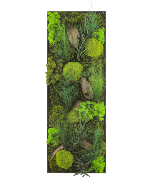 Tableau végétal Barfleur