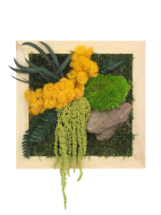 Tableau végétal stabilisé Songe d'Automne