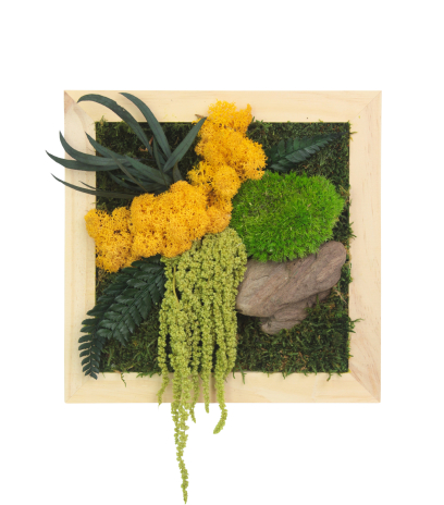 Tableau végétal stabilisé Songe d'Automne