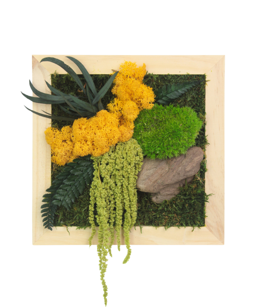 Tableau végétal stabilisé Songe d'Automne