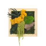 Tableau végétal stabilisé Songe d'Automne