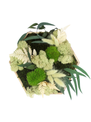 Tableau végétal stabilisé Barenton