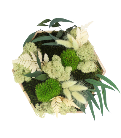 Tableau végétal stabilisé Barenton