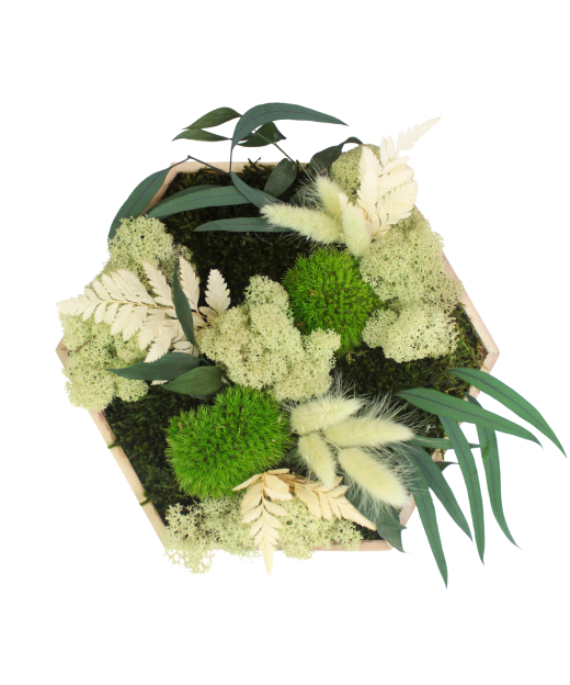 Tableau végétal stabilisé Barenton