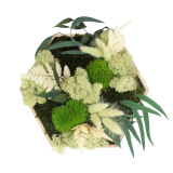 Tableau végétal stabilisé Barenton