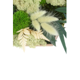 Tableau végétal stabilisé Barenton