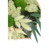 Tableau végétal stabilisé Barenton