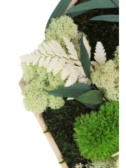 Tableau végétal stabilisé Barenton