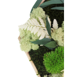 Tableau végétal stabilisé Barenton