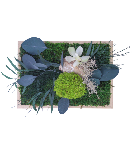 Cadre végétal stabilisé Cotentin