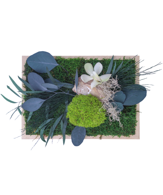 Cadre végétal stabilisé Cotentin