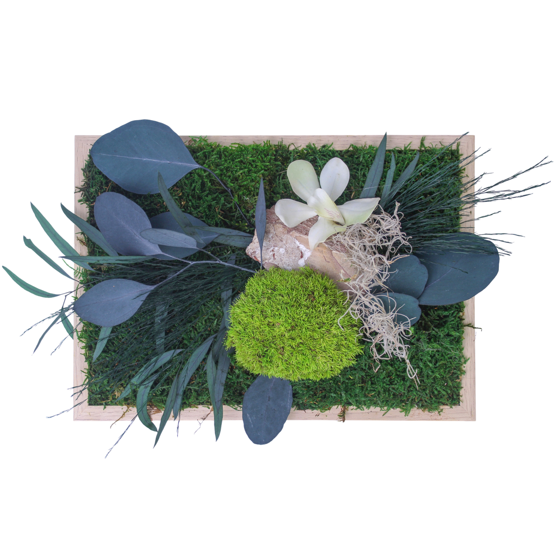 Cadre végétal stabilisé Cotentin