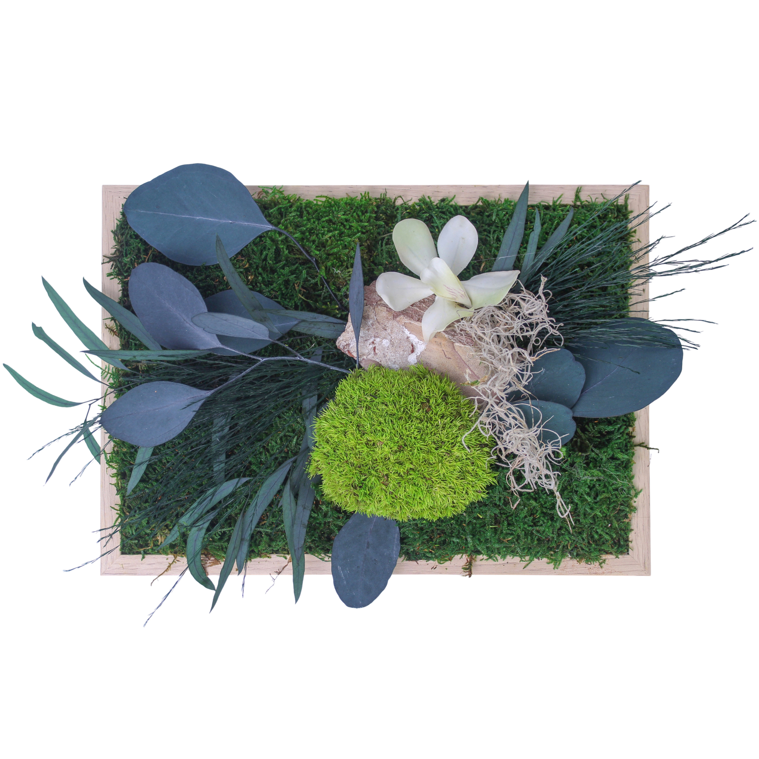 Cadre végétal stabilisé Cotentin