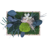 Cadre végétal stabilisé Cotentin