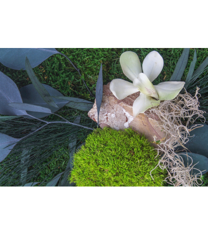 Cadre végétal stabilisé Cotentin