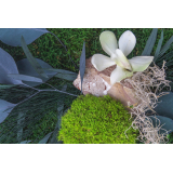 Cadre végétal stabilisé Cotentin