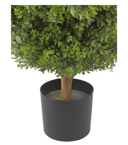 Pot