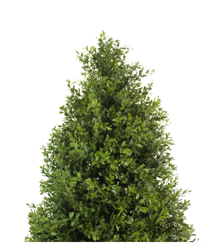 Buis artificiel Chenonceau