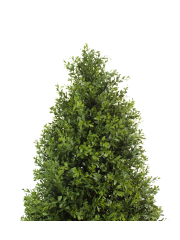 Buis artificiel Chenonceau