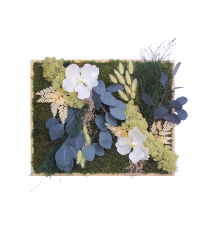 Tableau végétal stabilisé Vernon