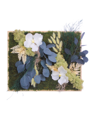 Tableau végétal stabilisé Vernon