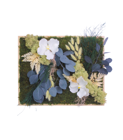 Tableau végétal stabilisé Vernon