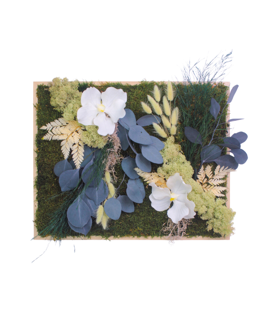 Tableau végétal stabilisé Vernon