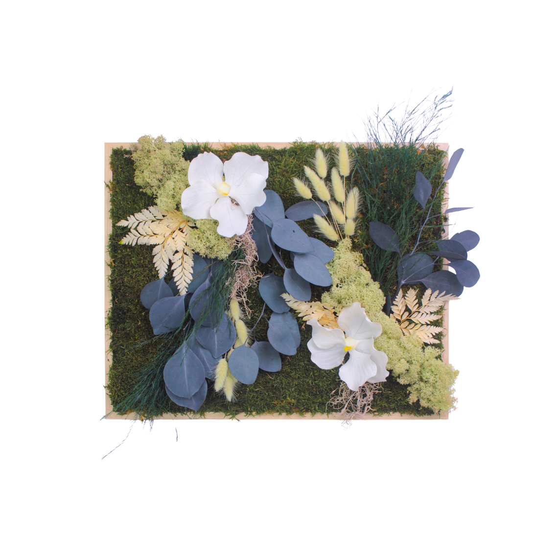 Tableau végétal stabilisé Vernon