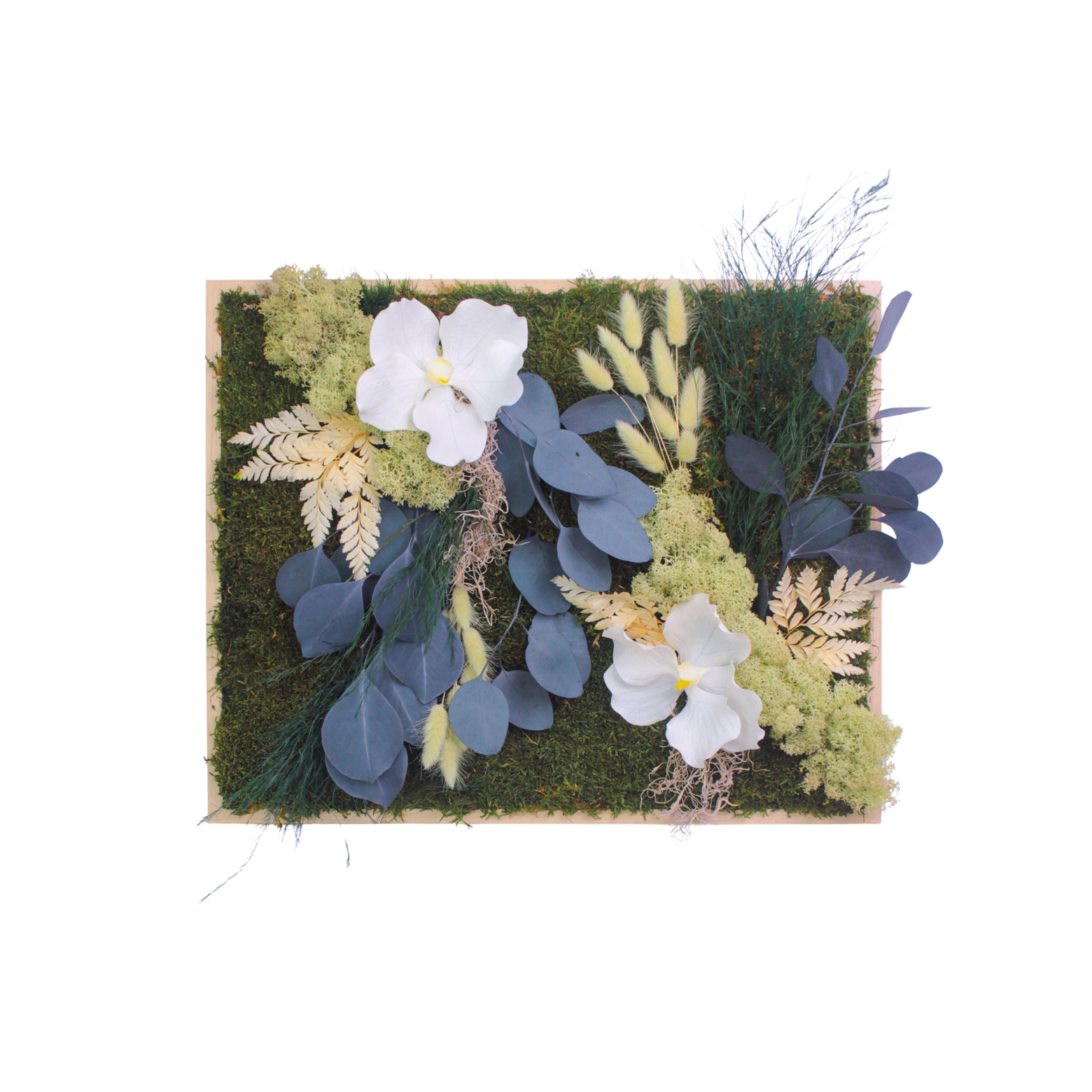 Tableau végétal stabilisé Vernon