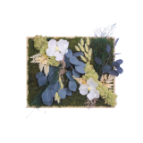 Tableau végétal stabilisé Vernon