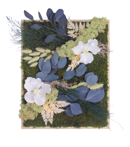 Tableau végétal stabilisé Vernon