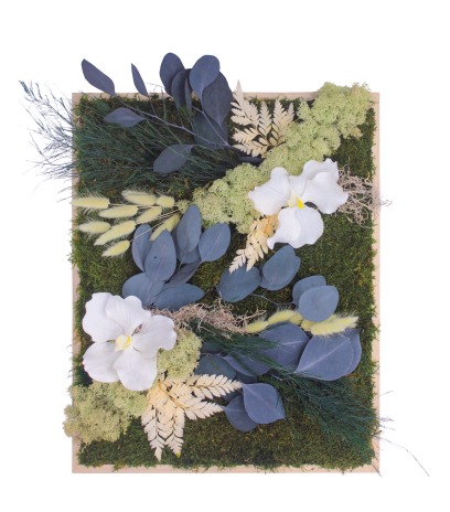 Tableau végétal stabilisé Vernon
