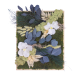 Tableau végétal stabilisé Vernon