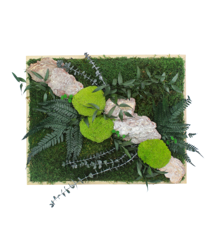 Tableau végétal stabilisé Rocher