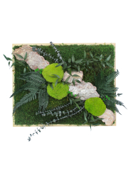 Tableau végétal stabilisé Rocher