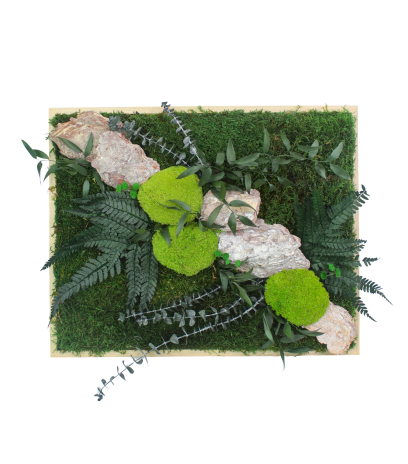 Tableau végétal stabilisé Rocher