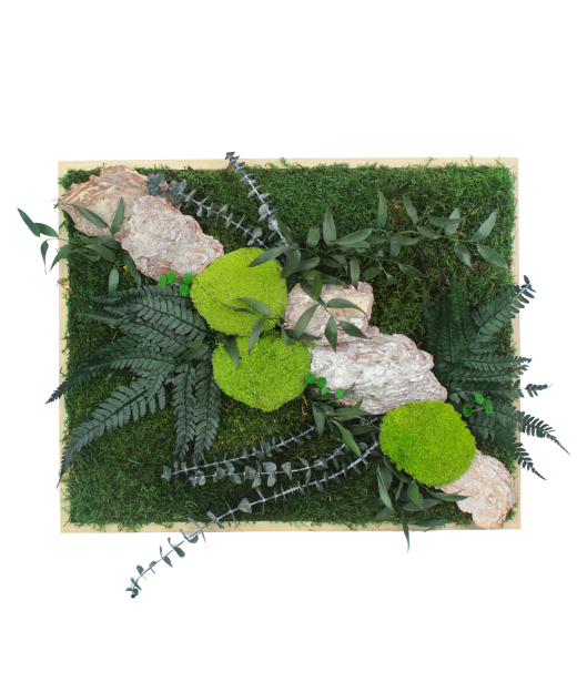 Tableau végétal stabilisé Rocher