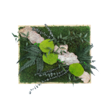 Tableau végétal stabilisé Rocher