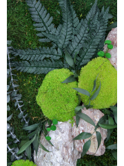 Tableau végétal stabilisé Rocher