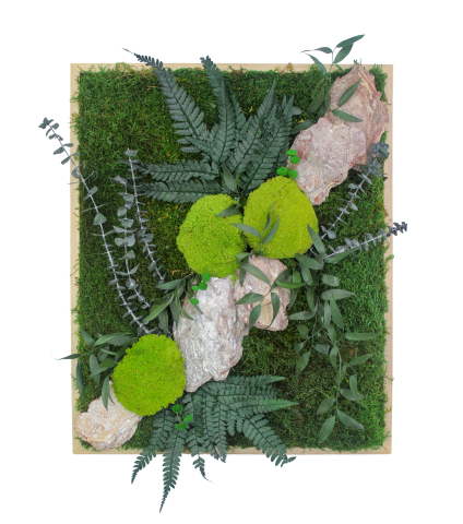 Tableau végétal stabilisé Rocher