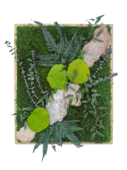 Tableau végétal stabilisé Rocher