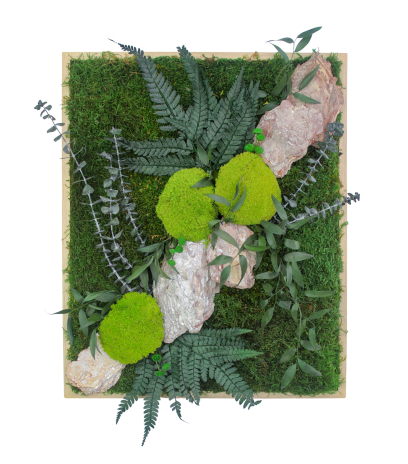 Tableau végétal stabilisé Rocher