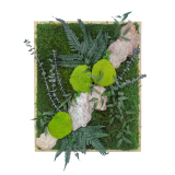 Tableau végétal stabilisé Rocher