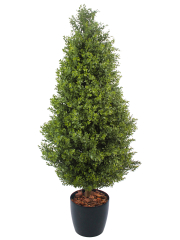 Buis artificiel Chenonceau