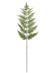 Feuille de fougère géante artificielle