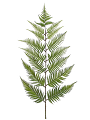 Feuille de fougère géante artificielle